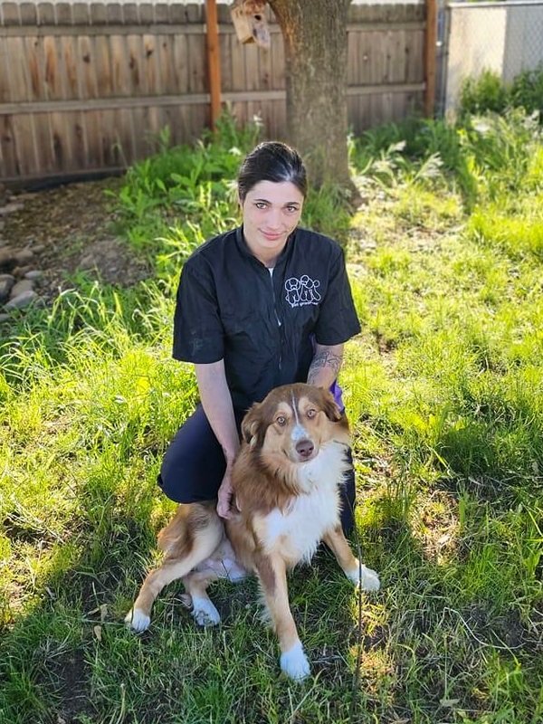 Professional female groomer smiling gently while brushing a dog